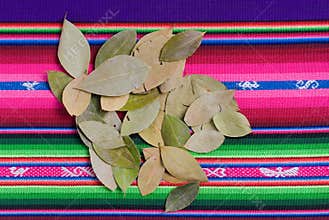 Coca Leaves