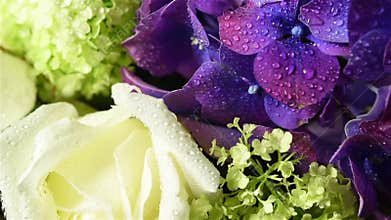 Bouquet of fresh flowers