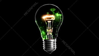 Light bulb with moth