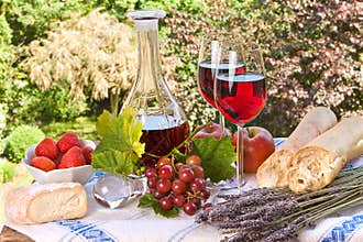 Happy picnic