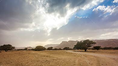 Desert Landscape