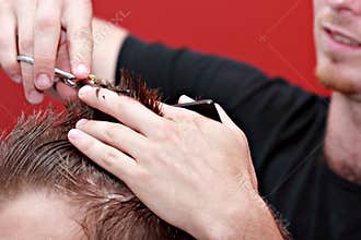 Barber cutting hair on young man