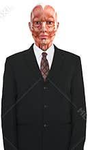 Muscle Map Business Suit Isolated
