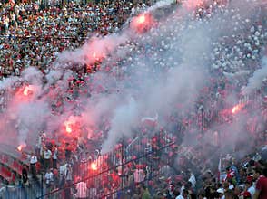 Fans