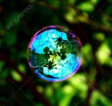 Colorful soap bubble