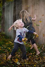 Falling Leaves