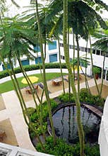 Roof top garden design