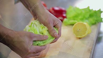 Chef breaks fresh crispy iceberg salad slowmotion