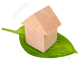 House of building blocks on the green leaf