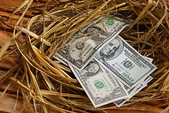 Dollar Banknote in nest eggs, Growing of business and genesis Business, New business starting by banknotes, Business concept