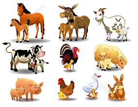 Farm animals and their babies