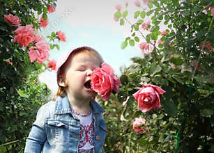 Little girl smells a flower of a rose