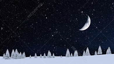 Snowy winter fir forest at snowfall night 4K