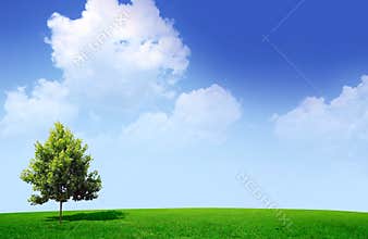 Spring landscape