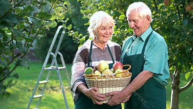 Couple of seniors, apple basket.