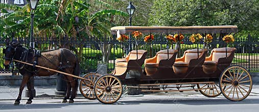Horse and Buggy