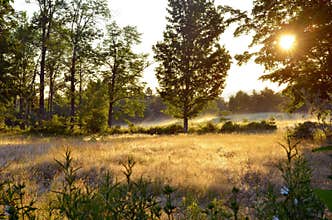 Early Morning Sunrise over the Fields, Bridgton, Maine - by Eric L. Johnson Photography