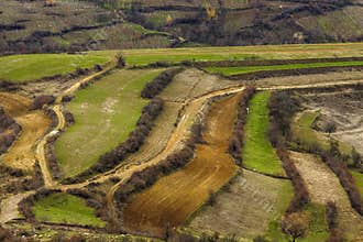 Colored plots of different cultures