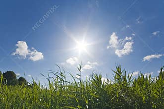Sunny warm Summer sky