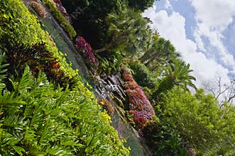 Florida water garden