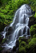 Fairy Falls