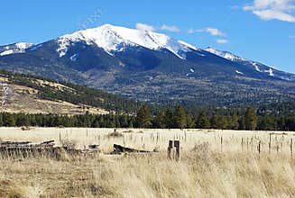 Snow capped mountain