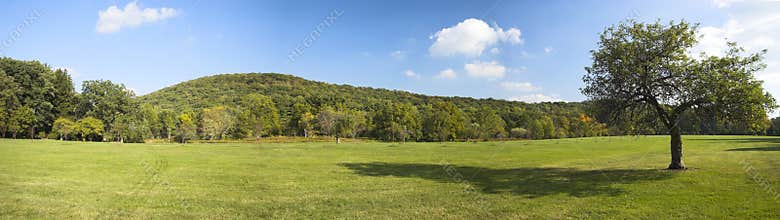 Panorama with apple tree