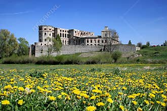 Castle Krzyztopor
