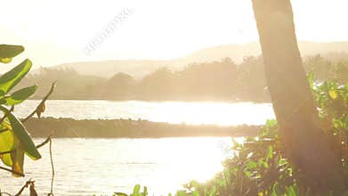 Tropical Caribbean beachfront hotel located in Montego Bay, Jamaica