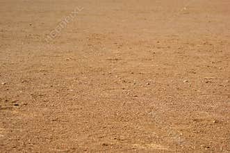 Field of Dirt