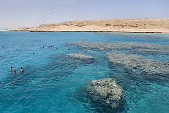 Snorkeling in the Red Sea near Hurghada (Egypt)