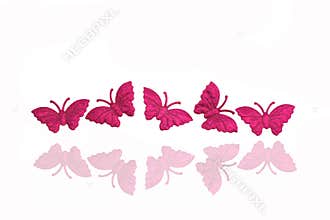 butterfly background
