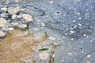 Coagulation and Flocculation of Wastewater