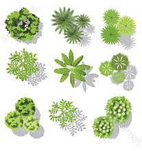 Set of treetop symbols, for architectural or landscape design