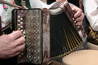 Accordion