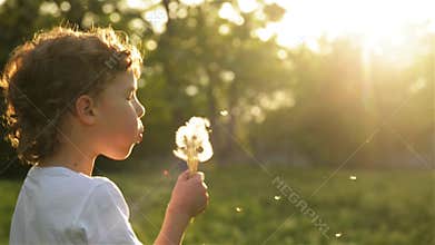 Boy blowing on dandelion beautiful sunset light