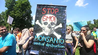 Stop Gmo sign