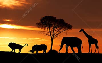 Silhouettes of African animals at sunset in the Savannah