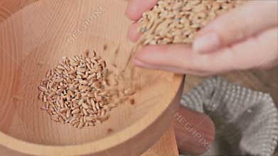 Grinding wheat with a tabletop mill