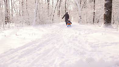 Dad carries son sledging in winter frosty day in the woods.