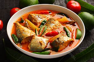 Traditional Kerala fish curry