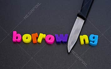 Cut borrowing: advice to government.