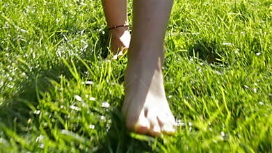 Walking barefoot in the grass - backlight, closeup