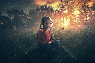 Little girl watching butterflies