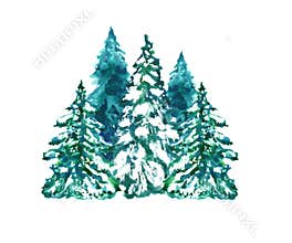 Winter Christmas trees set on white background. Hand drawn watercolor illustration