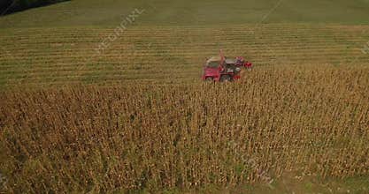 Aerial footage of corn harvest with combine and tractor on a fieldon a field