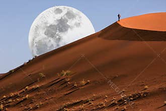 Dune walking in the Namib Desert