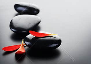 Spa Zen Stones