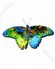 Earth butterfly