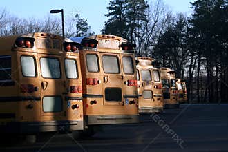 Line of School Buses